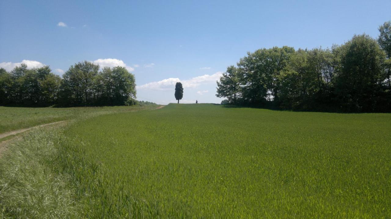 Appartamento Miralago Bolsena Zewnętrze zdjęcie