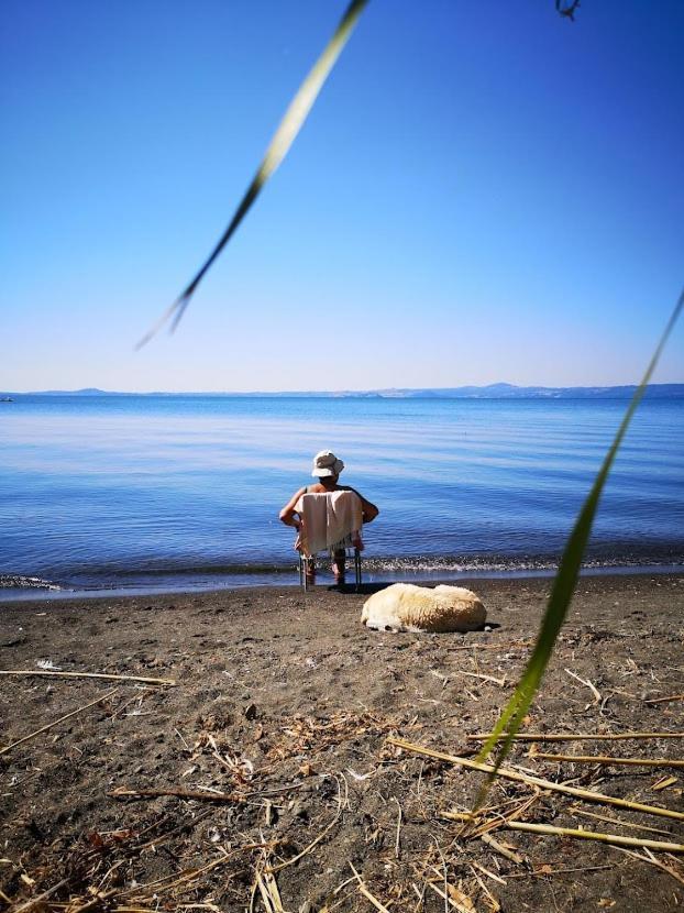 Appartamento Miralago Bolsena Zewnętrze zdjęcie