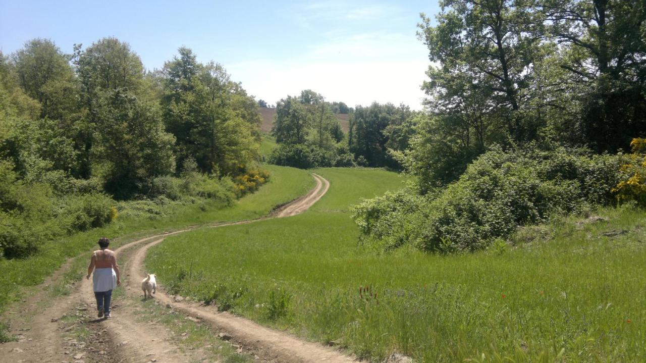 Appartamento Miralago Bolsena Zewnętrze zdjęcie